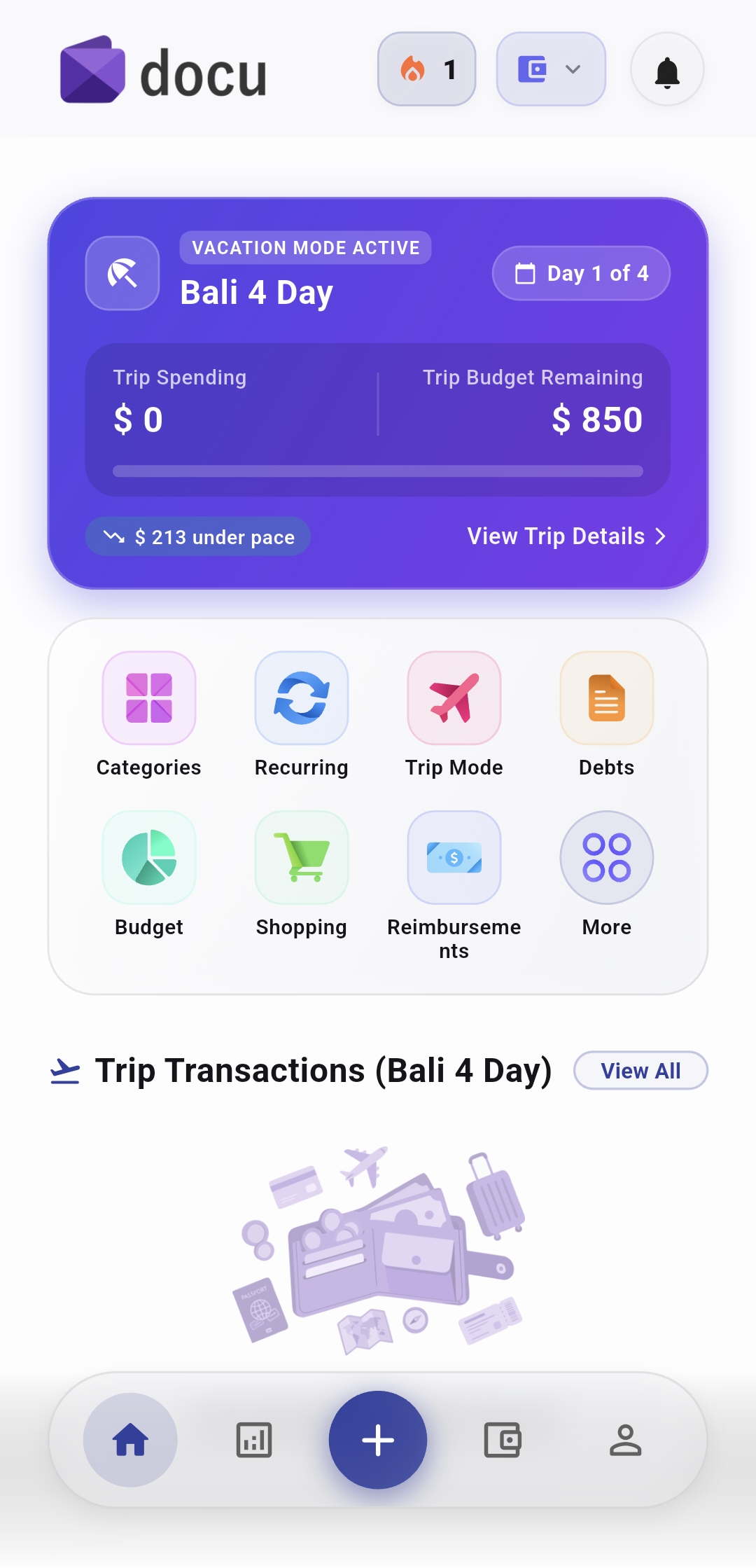 DOCU travel trip mode with multi-currency conversion